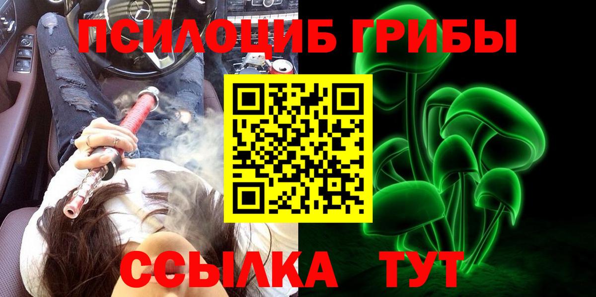 Галлюциногенные грибы Psilocybe Лабытнанги