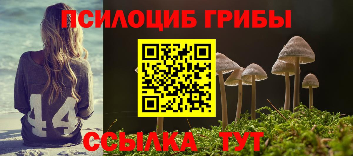 Галлюциногенные грибы мухоморы  магазин продажи наркотиков  Лабытнанги  Вход с VPN 